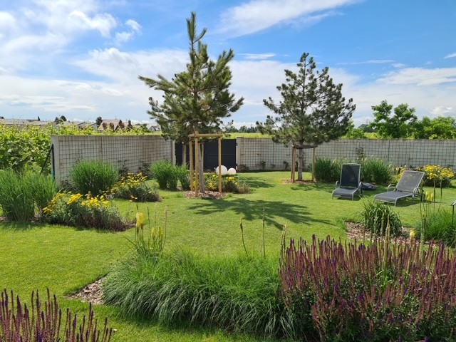 Comment tondre sa pelouse ? Illzach