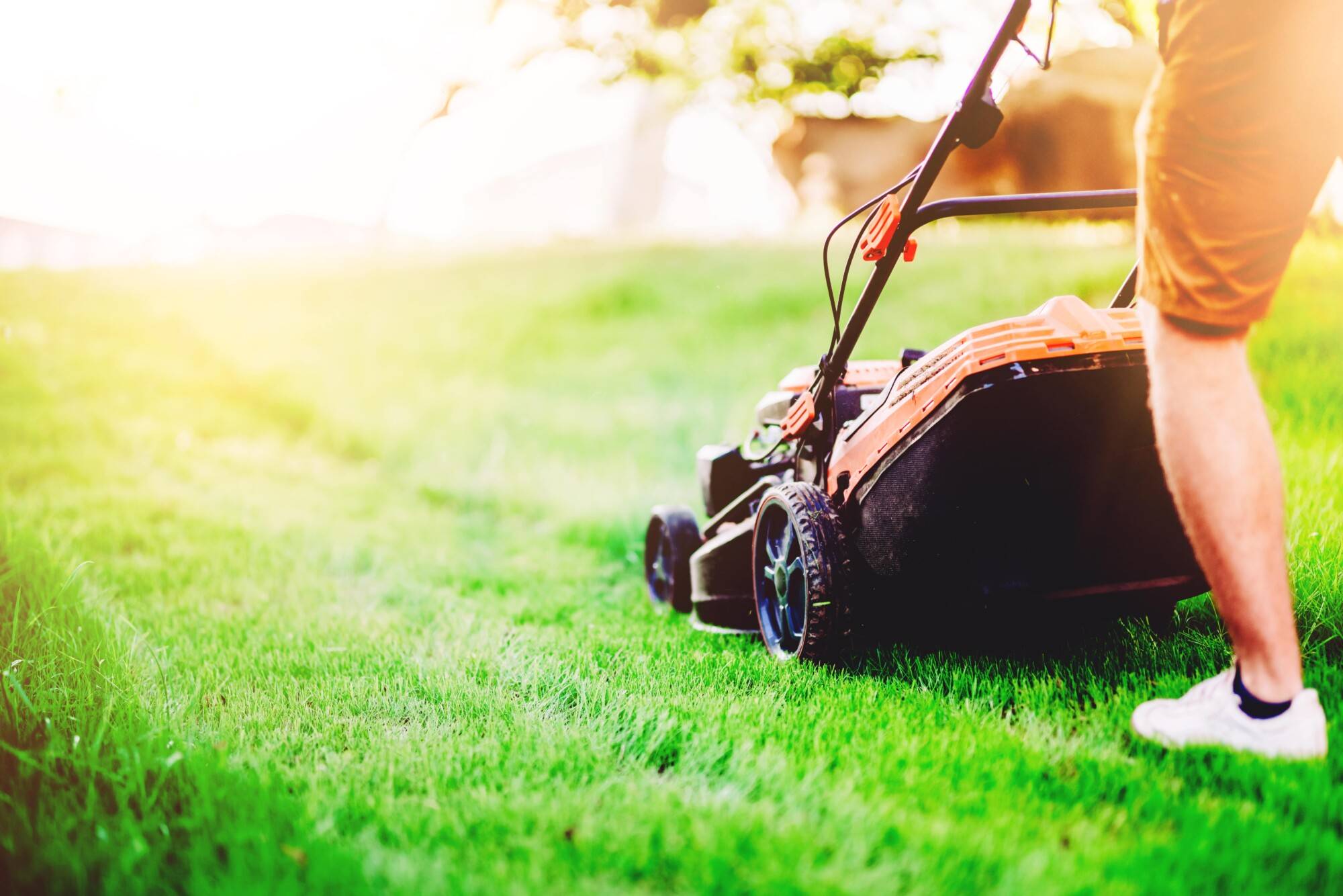 Gazon synthétique ou naturel : quels sont leurs avantages ? Illzach