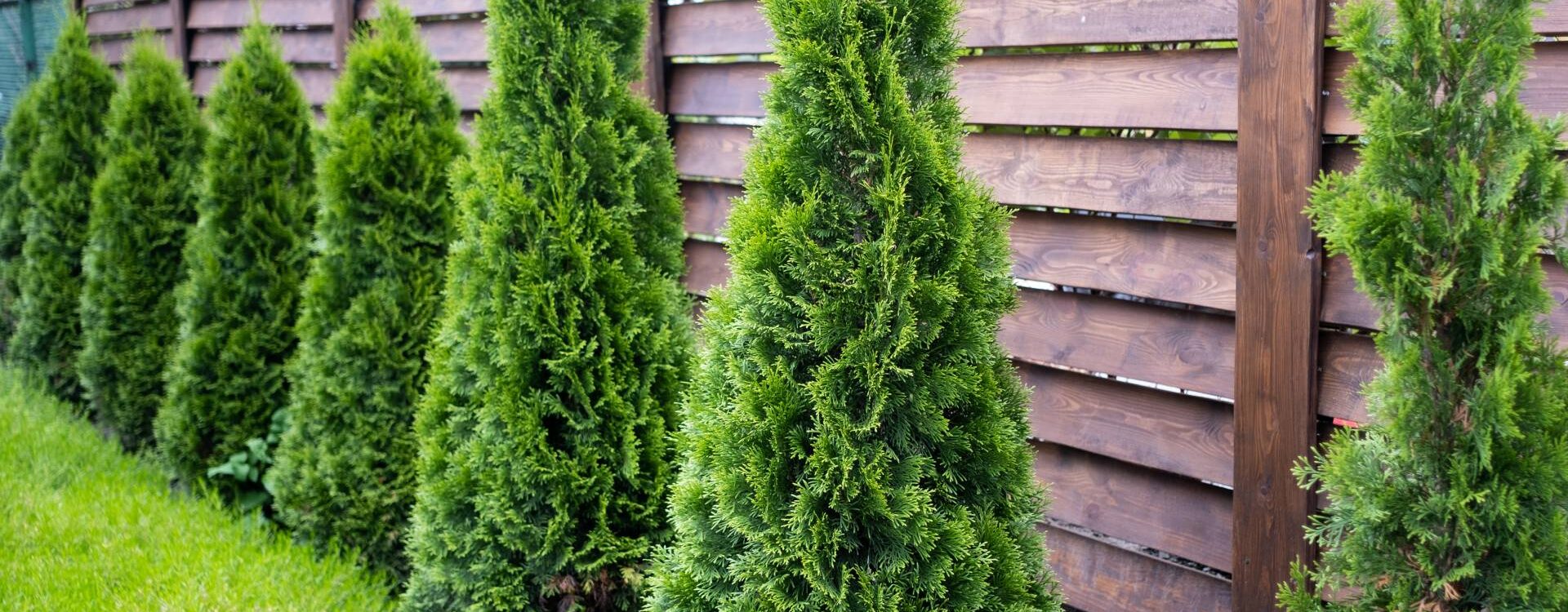 Entretien &eacute;co-responsable de jardins et espaces verts &agrave; Colmar et Mulhouse Rixheim