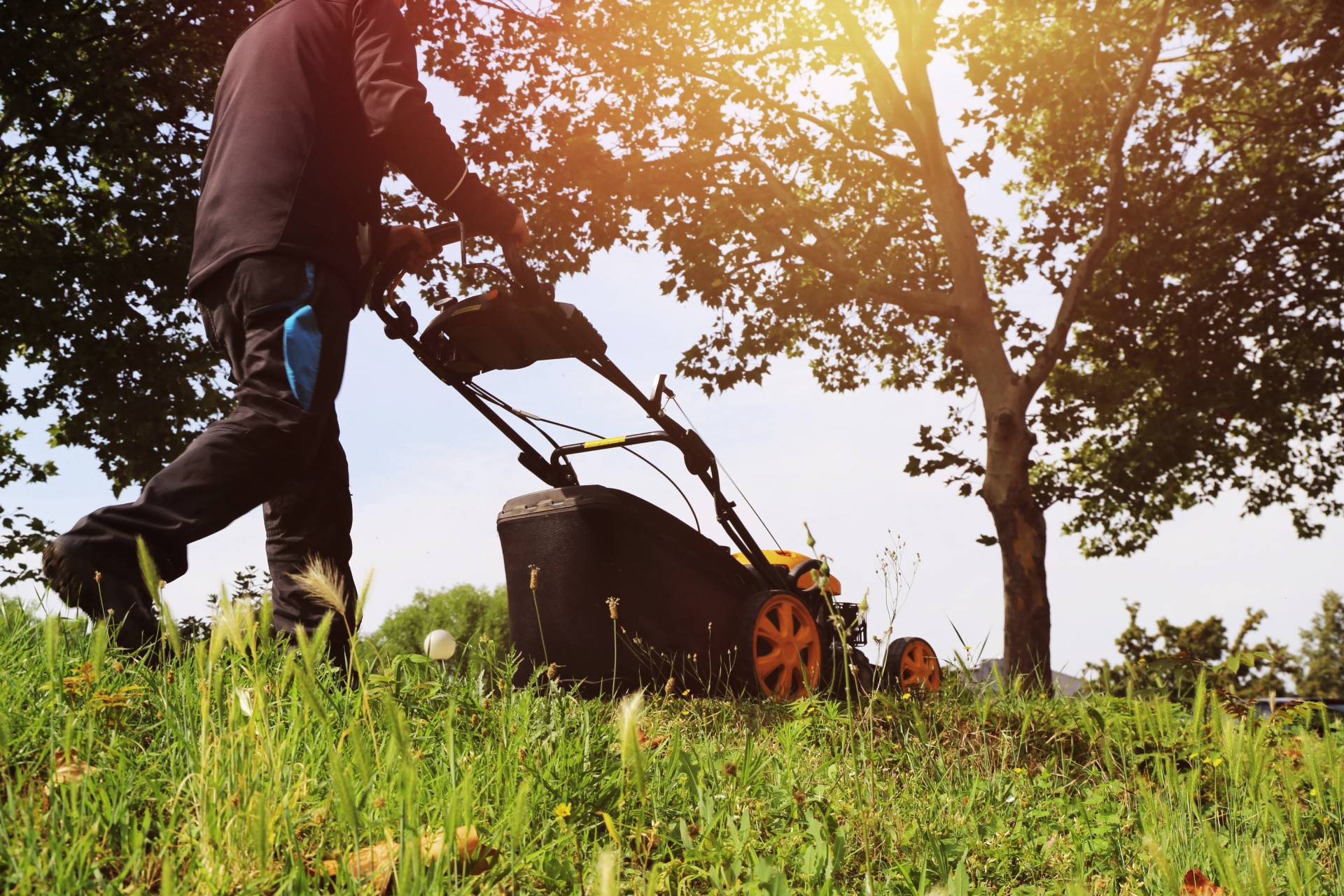 Entretien de jardin : profitez du service à la personne ! Wittenheim