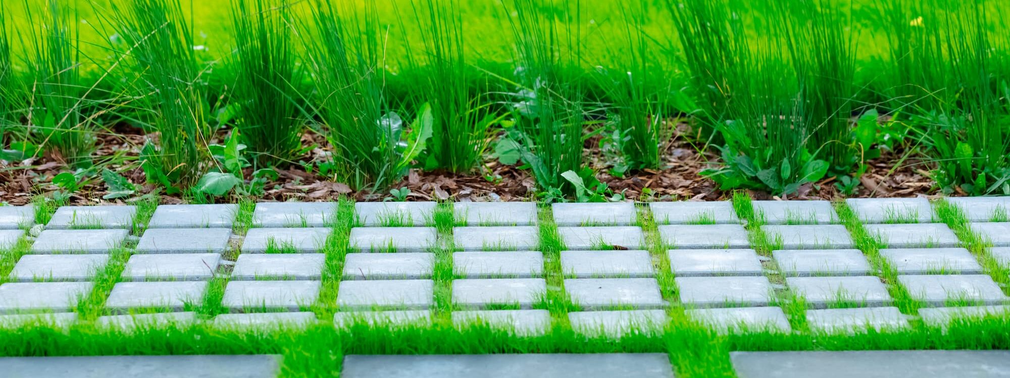 Pavage ou dallage : quelles diff&eacute;rences et quel choix pour quel usage ? Rixheim